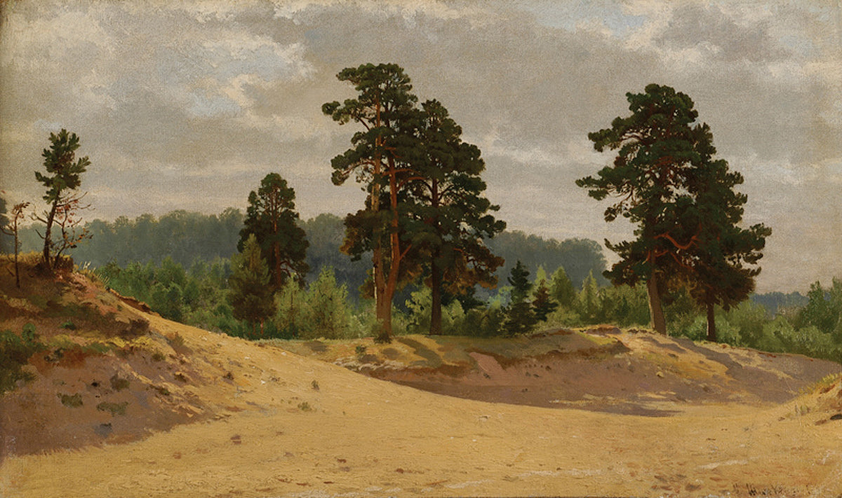 Lisière de la forêt - Ivan Chichkine