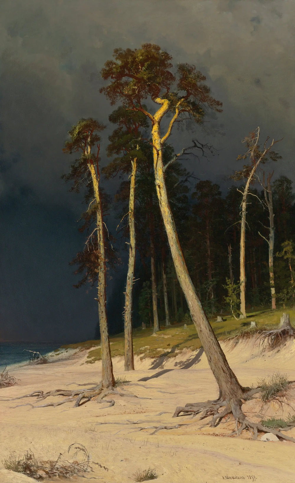 Littoral sablonneux - Ivan Chichkine - Alpha Reproduction