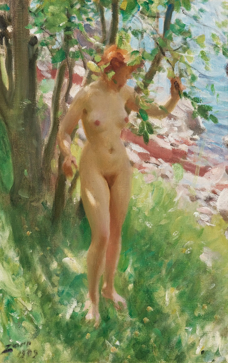 L'Ombre - Anders Zorn