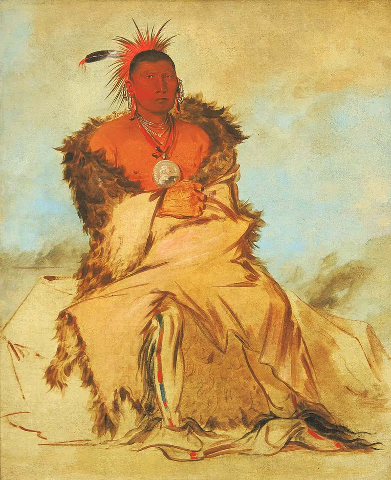 Loo-rá-wée-re-coo, Savaşmaya giden kuş, bir Tapage Pawnee - George Catlin