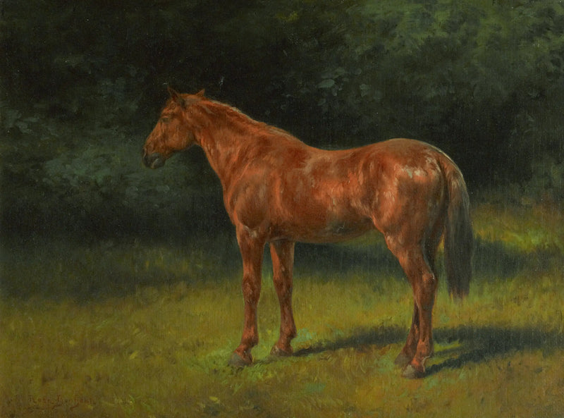 Kırmızı semizotu - Rosa Bonheur