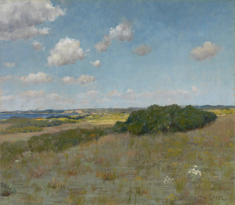 Güneş ışığı ve gölge, Shinnecock Hills - William Merritt Chase
