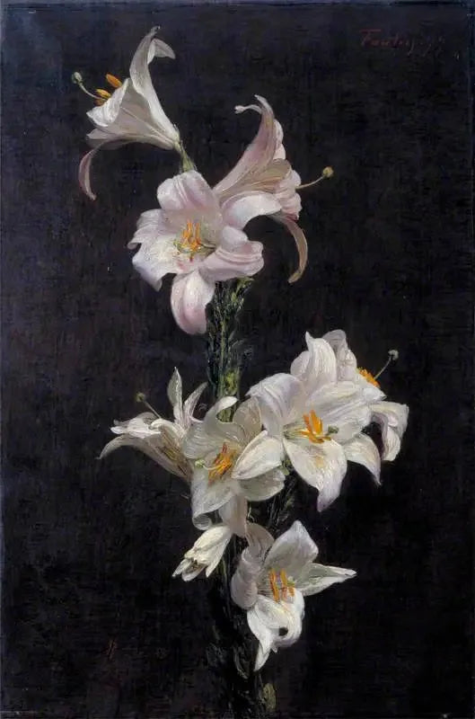 Beyaz Zambaklar - Henri Fantin-Latour