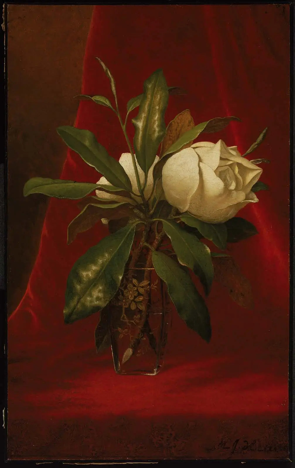 Magnolias - Martin Johnson Heade - Alpha Reproduction