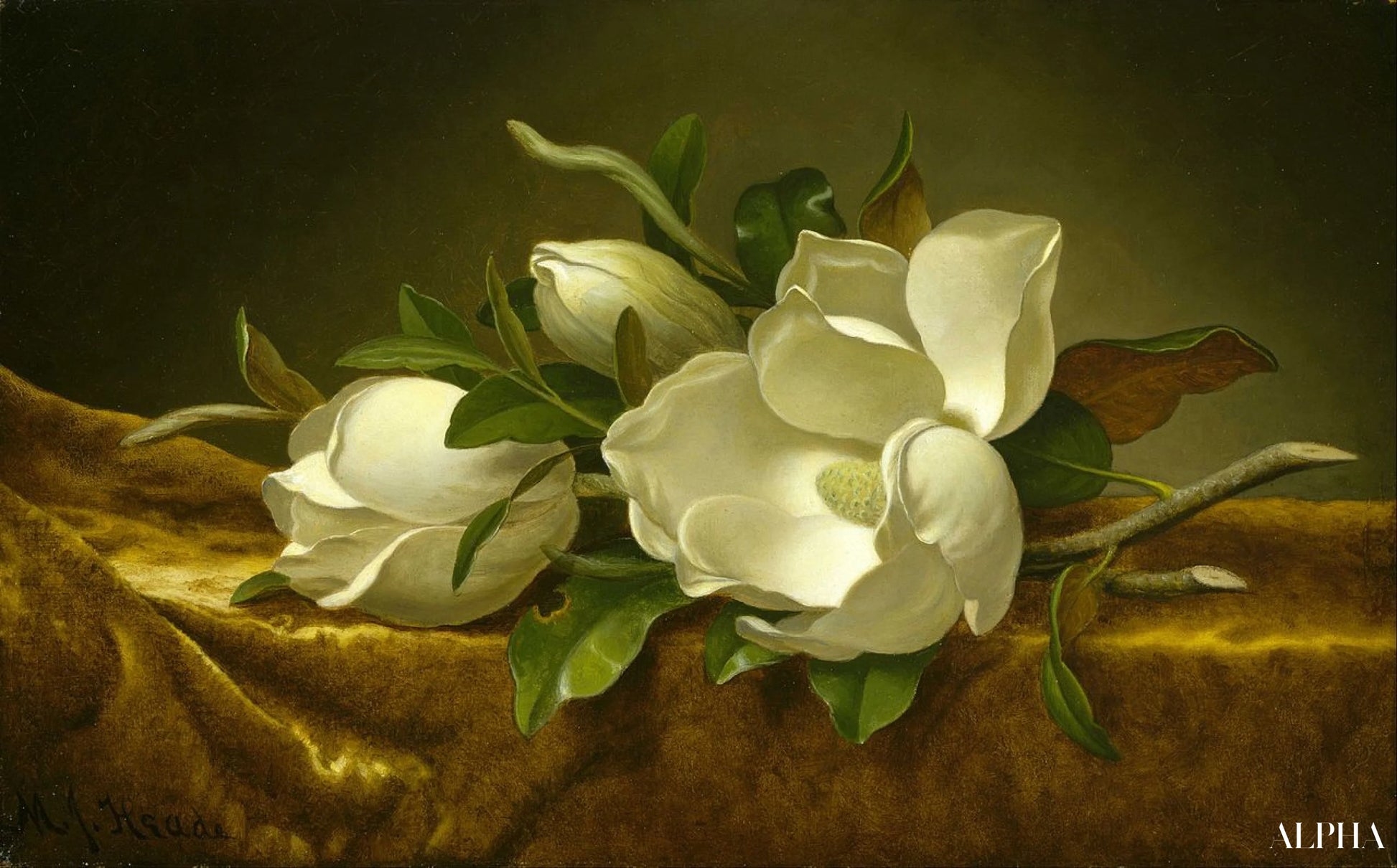 Reproduction du tableau « Magnolias sur tissu de velours doré - Martin Johnson Heade » par Alpha Reproduction en peinture à l’huile