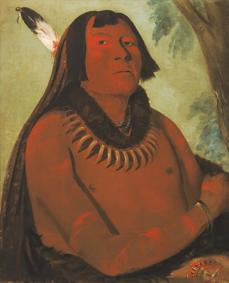 Mah-táhp-ta-a, ortada hızla ilerliyor, cesur - George Catlin