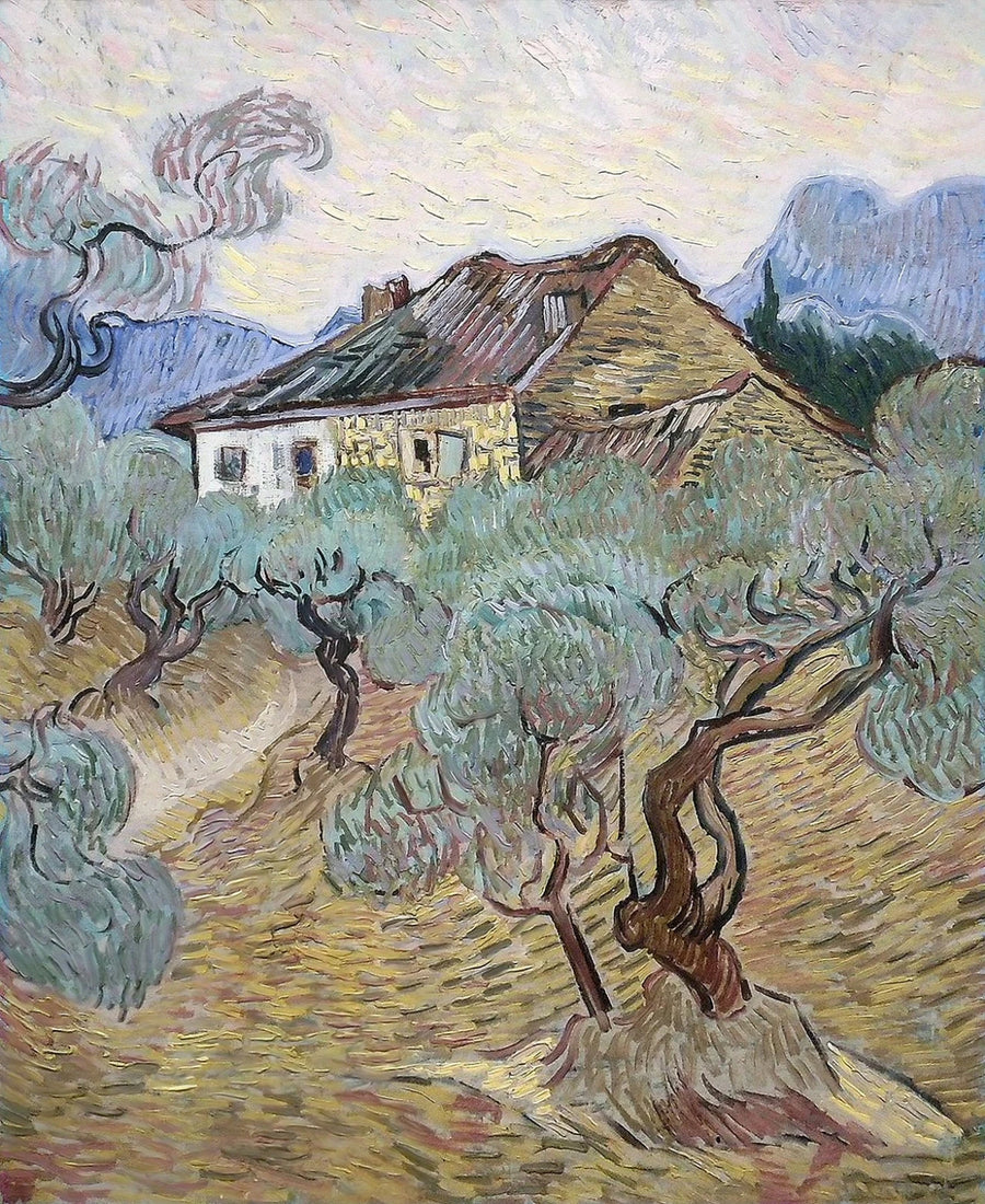 Zeytin ağaçları arasındaki beyaz ev - Vincent van Gogh