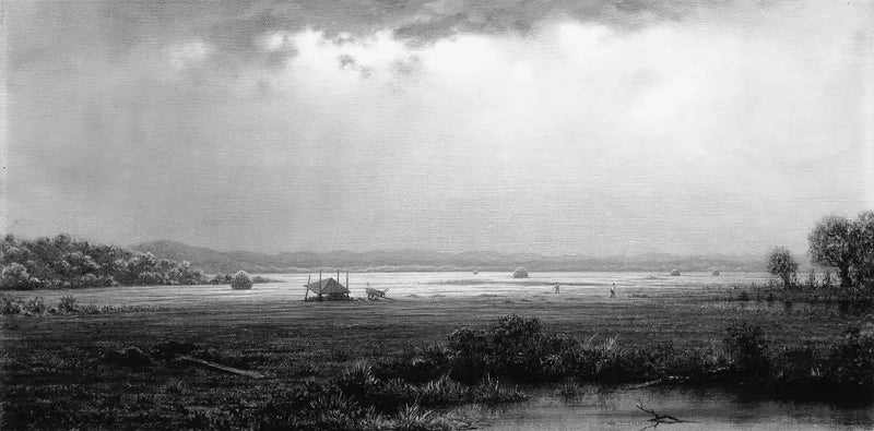 Newburyport Bataklığı - Martin Johnson Heade