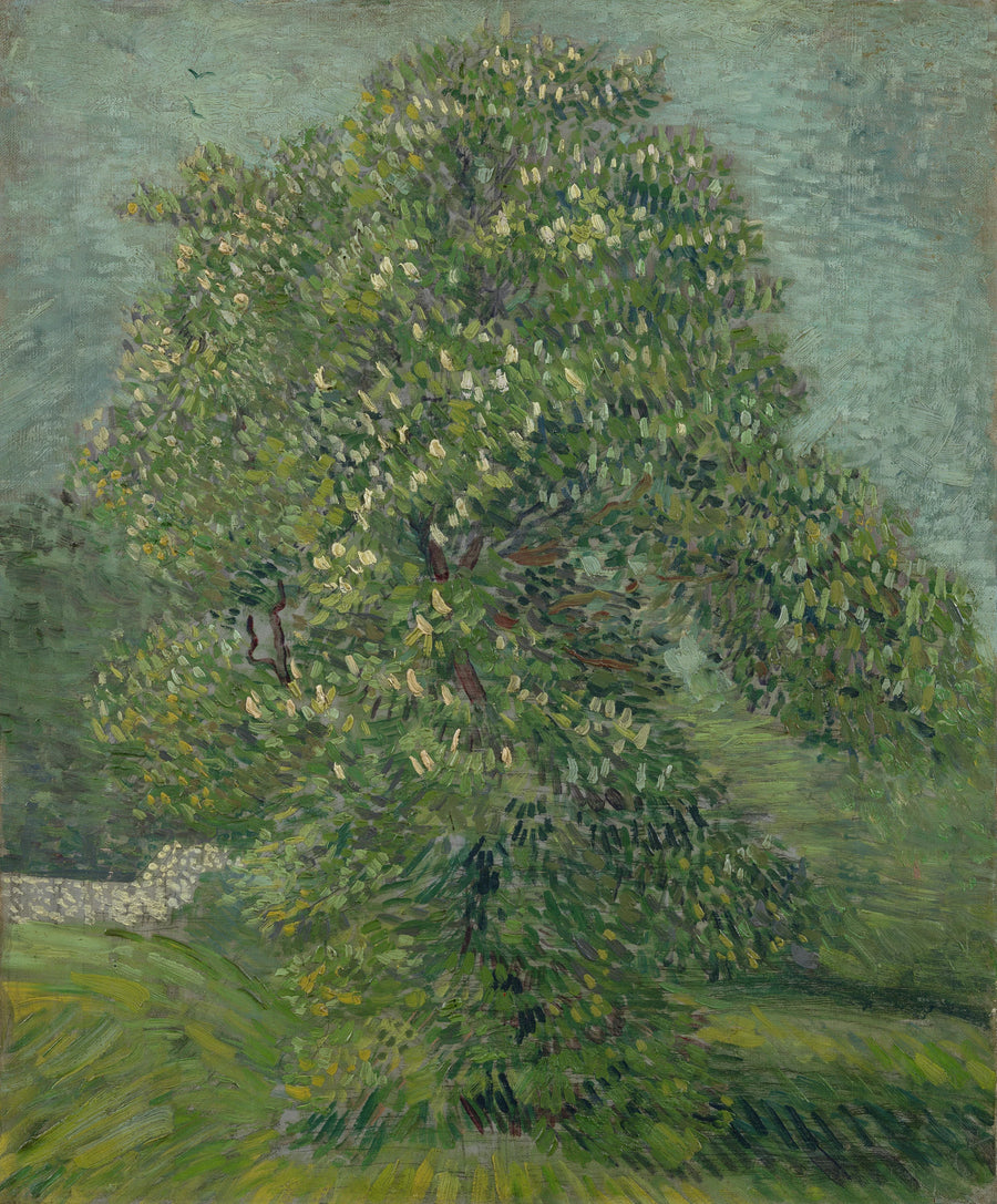Çiçek Açan At Kestanesi - Vincent van Gogh