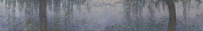 Nilüferler - Sazlarla Açık Sabah - Claude Monet