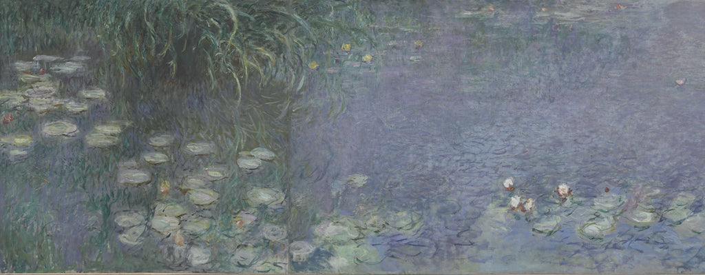 Détail des nymphéas et de la lumière bleue du matin dans Matin INV 20101