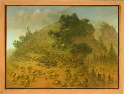 Rhododendron Dağı - George Catlin