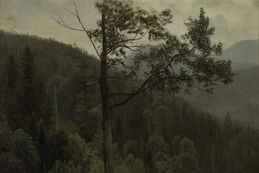 Ağaçlarla Kaplı Dağlar - Albert Bierstadt