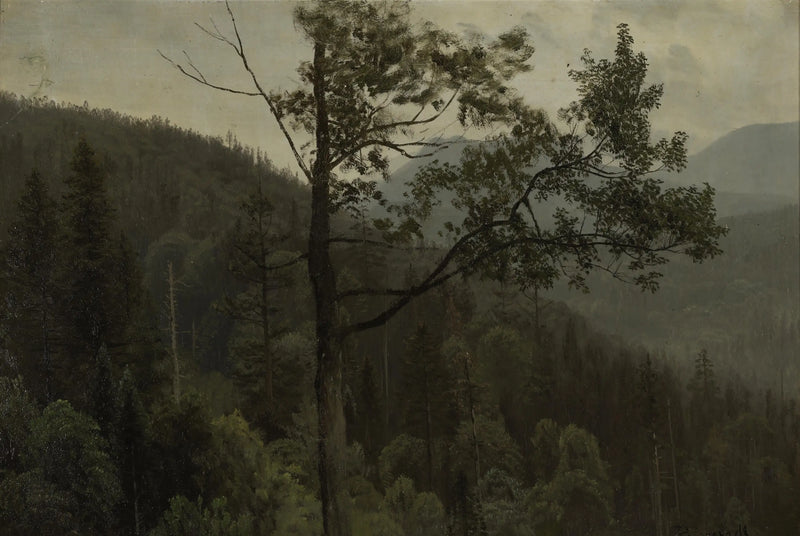 Ağaçlarla Kaplı Dağlar - Albert Bierstadt