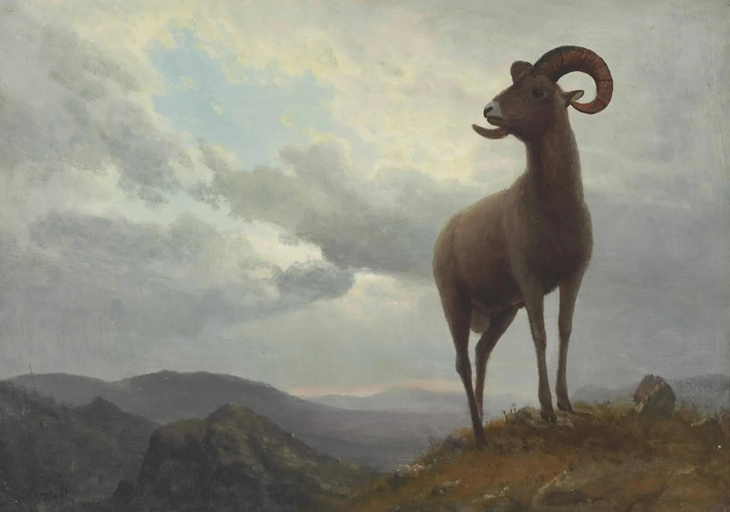 Uzun Boynuzlu Koyun - Albert Bierstadt