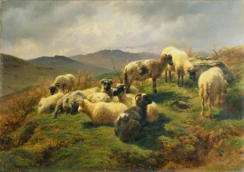 Highlands'taki Koyunlar - Rosa Bonheur