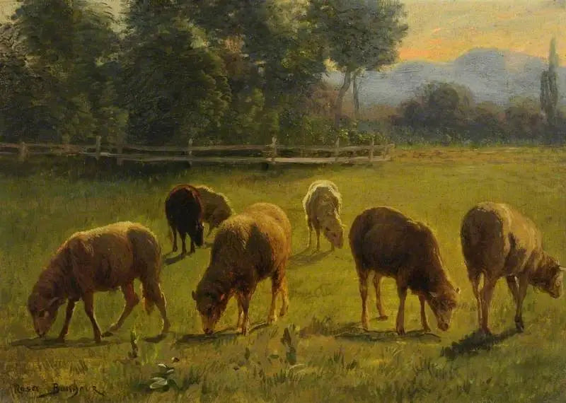 Koyunlar Bir Manzara İçinde - Rosa Bonheur