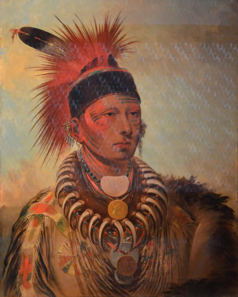 Mu-hu-she-kaw (Le nuage blanc) - George Catlin