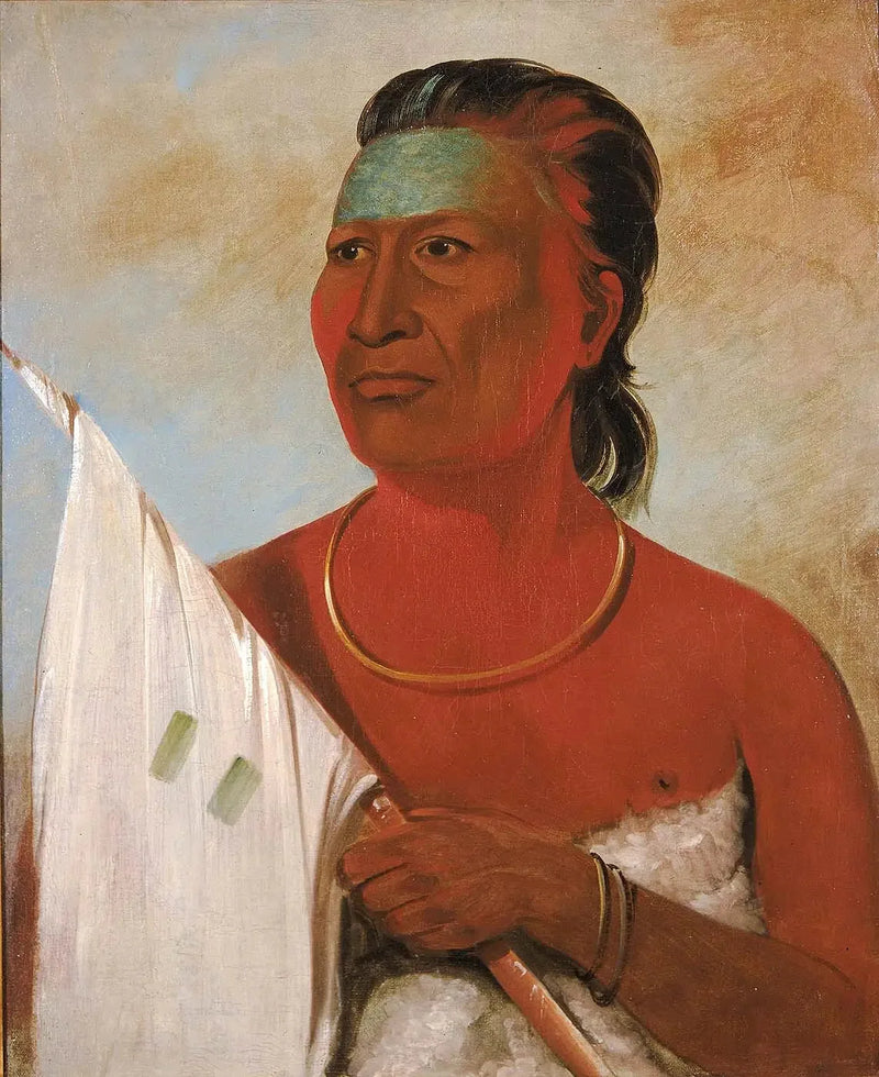Náh-pope, Çorba, Black Hawk danışmanı - George Catlin