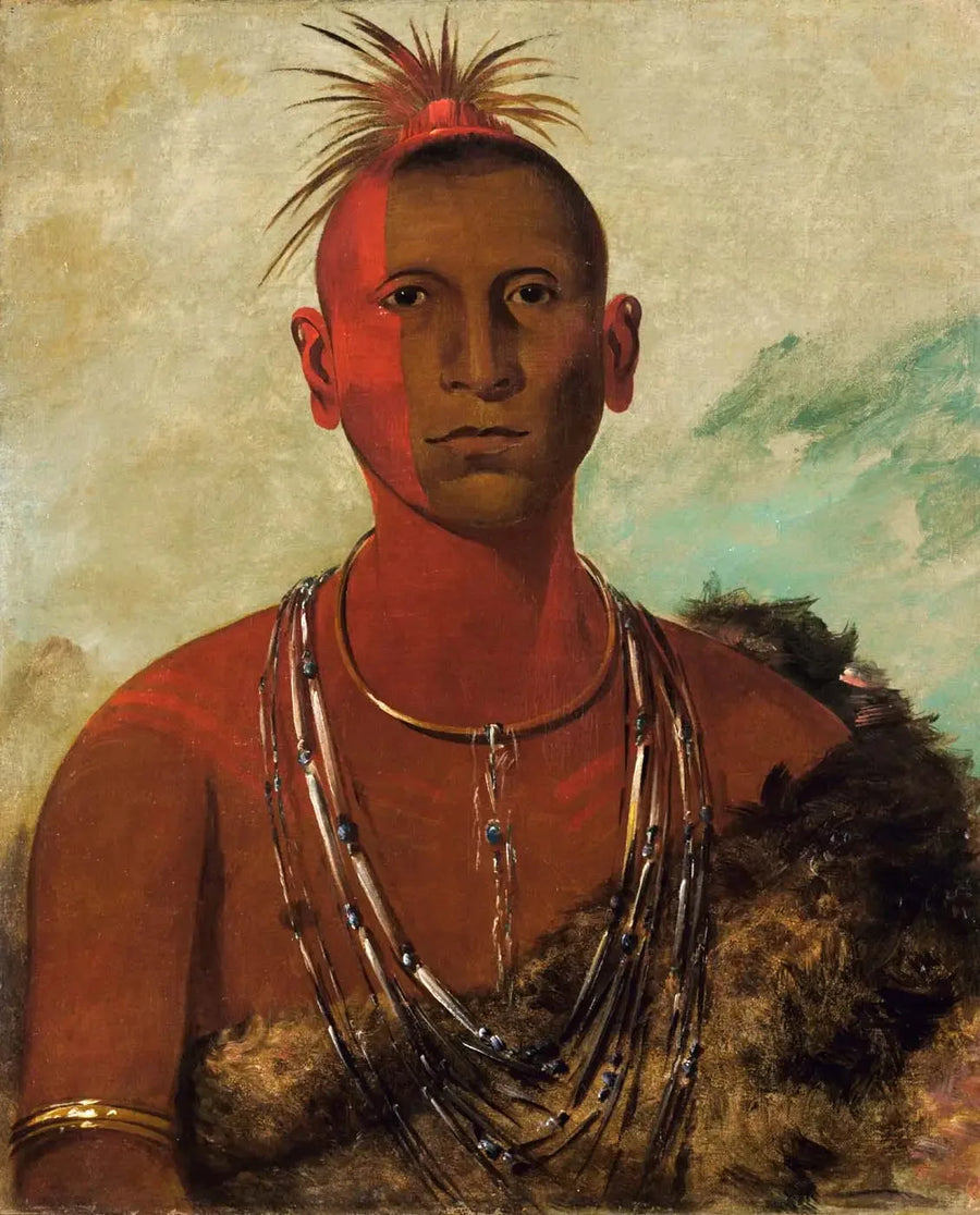Náh-se-ús-kuk, Dönen Fırtına, Kara Şahin'in Büyük Oğlusu - George Catlin