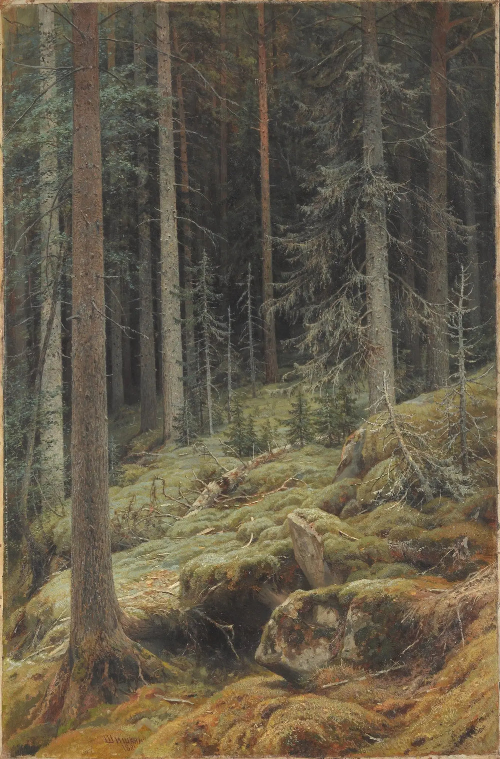 Natures sauvages - Ivan Chichkine - Alpha Reproduction