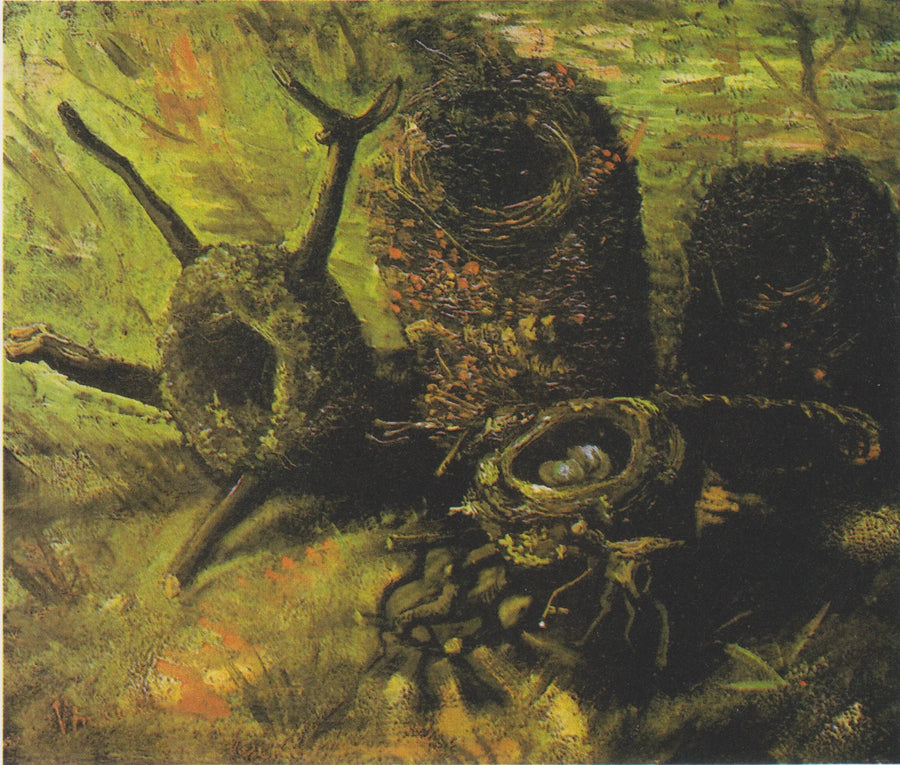 kuş yuvaları - Vincent van Gogh