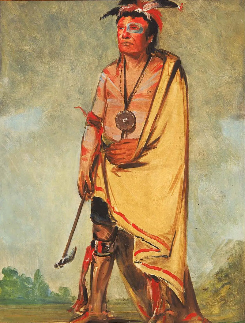 No-ak-chóo-she-kaw, Çalıları Kıran - George Catlin