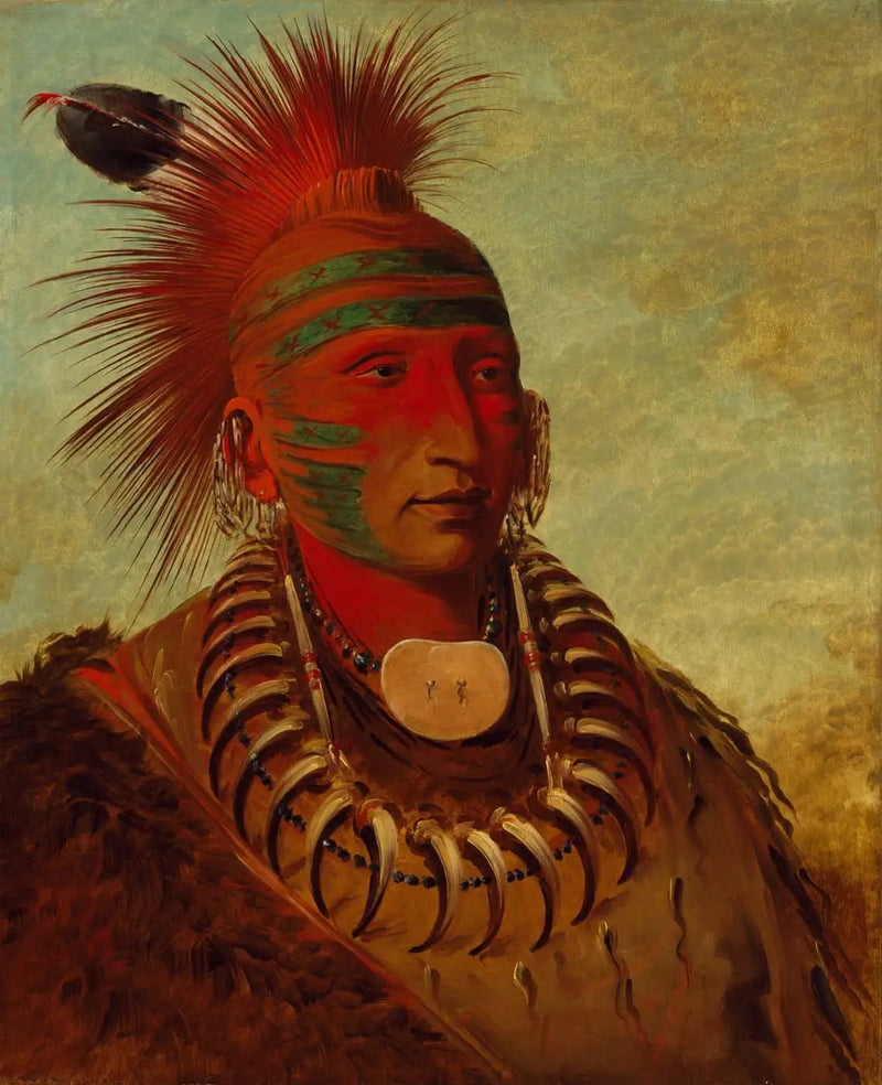No-ho-mun-ya, Dikkat etmeyen - George Catlin
