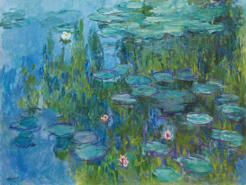 Nilüferler, Neue Pinakothek W1796 - Claude Monet