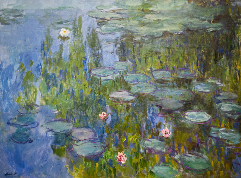 Nilüferler, Neue Pinakothek W1796 - Claude Monet