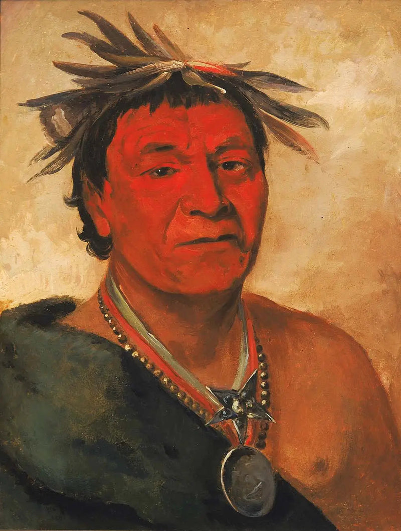 O-ho-páh-sha, Small Whoop, seçkin bir savaşçı - George Catlin