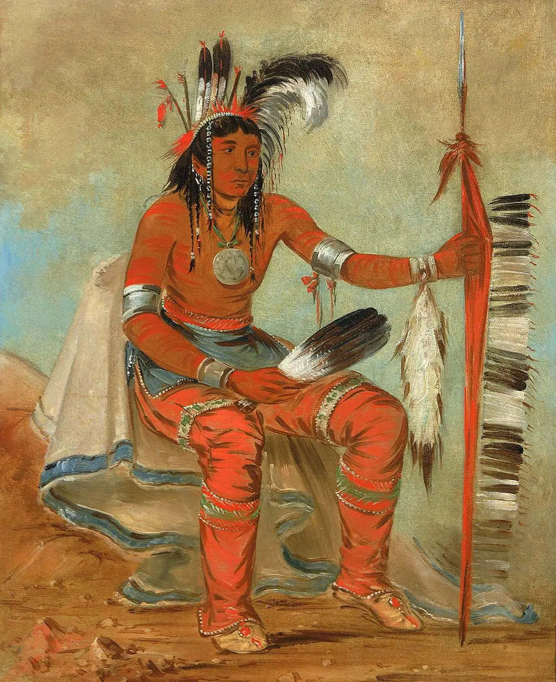 O'n-daig, karga, bir dandiy - George Catlin