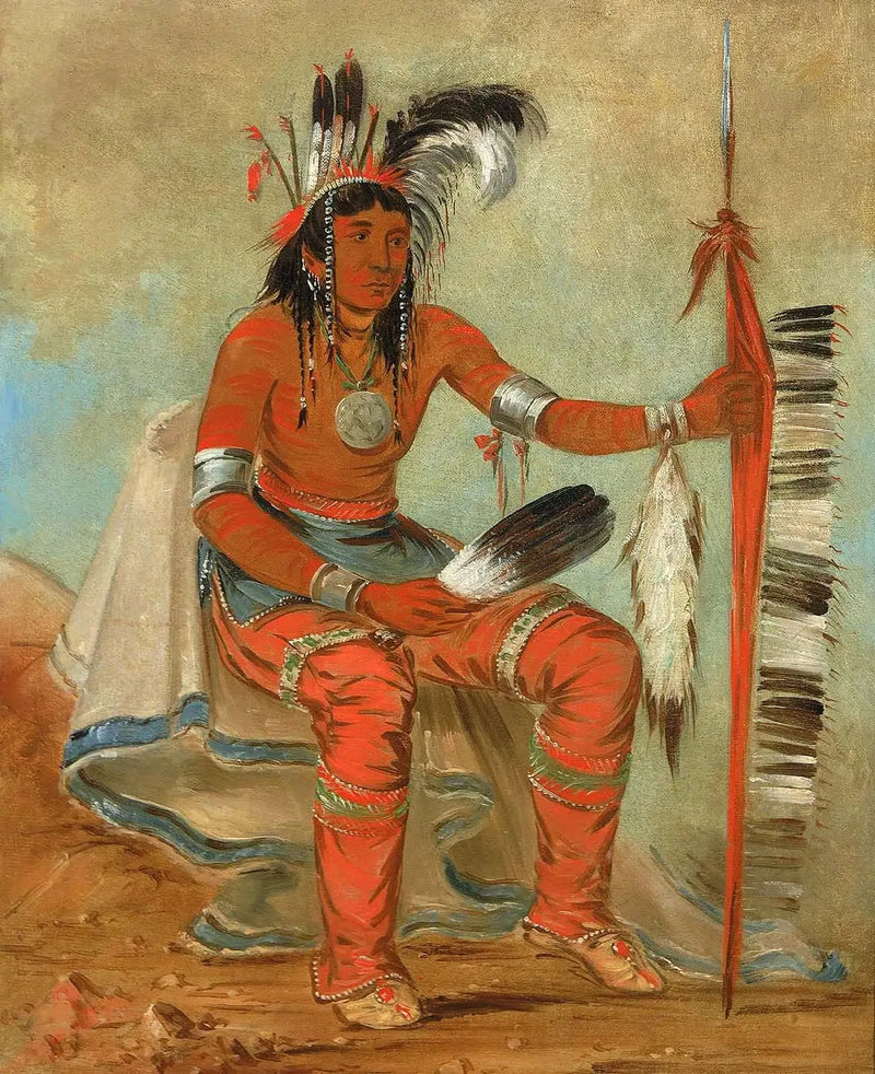 O'n-daig, karga, bir dandiy - George Catlin