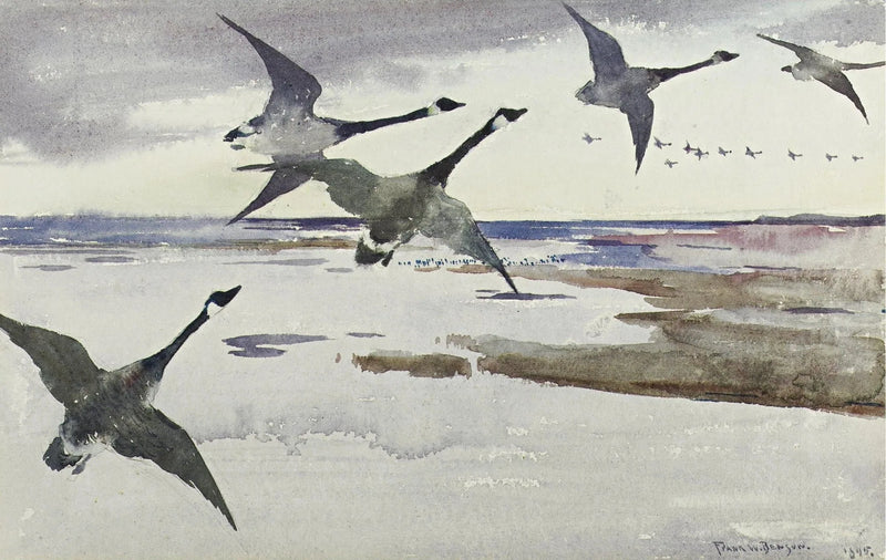 Kanada Kazları - Frank Weston Benson
