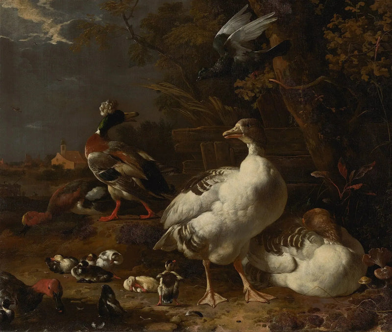 Güvercinler ve ördekler - Melchior de Hondecoeter