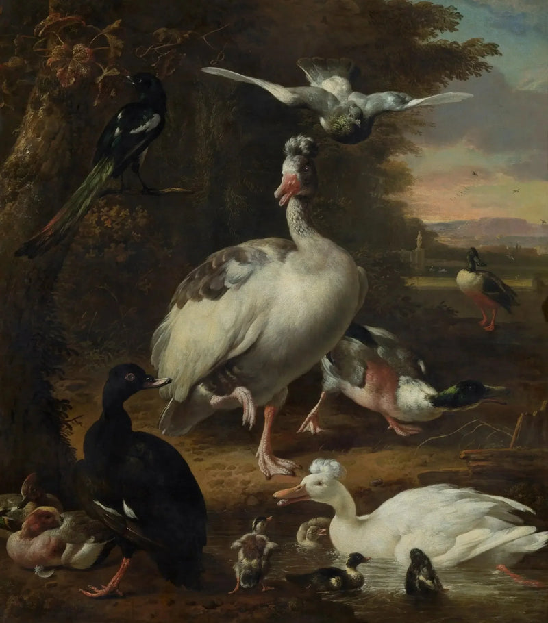 Kuşlar - Melchior de Hondecoeter