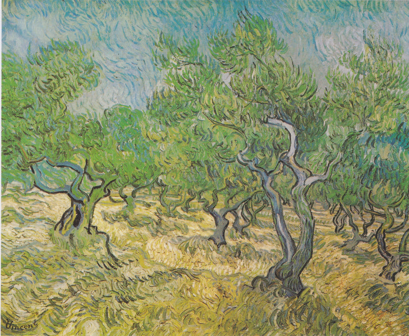 Zeytinlik - Vincent van Gogh