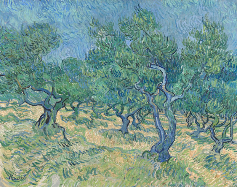 Zeytinlik - Vincent van Gogh