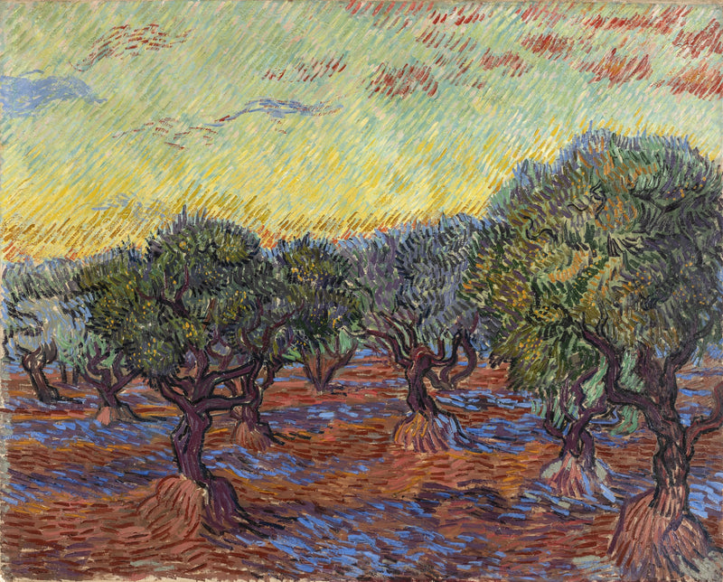 Zeytinlik, Saint-Rémy - Vincent van Gogh