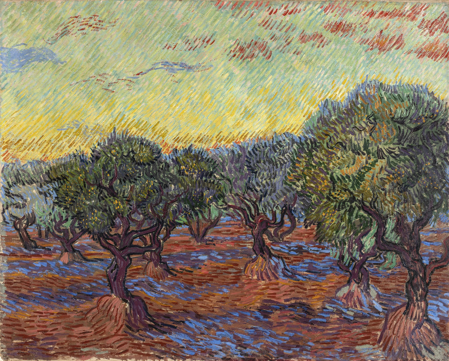 Zeytinlik, Saint-Rémy - Vincent van Gogh