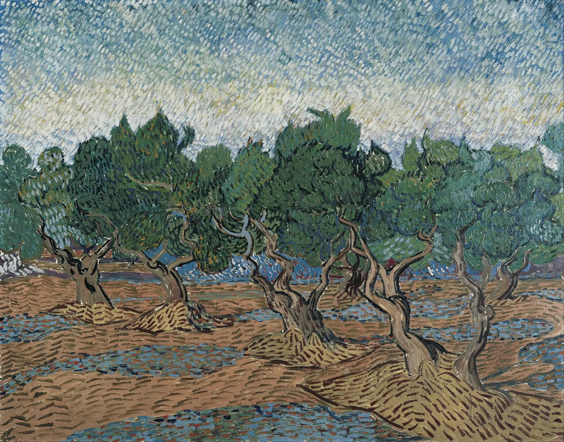 Zeytinlik - Vincent van Gogh