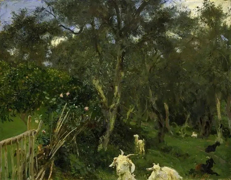 Korfu'da Zeytinler - John Singer Sargent