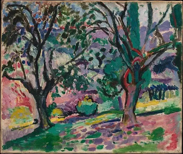 Collioure'daki Zeytin Ağaçları - Henri Matisse