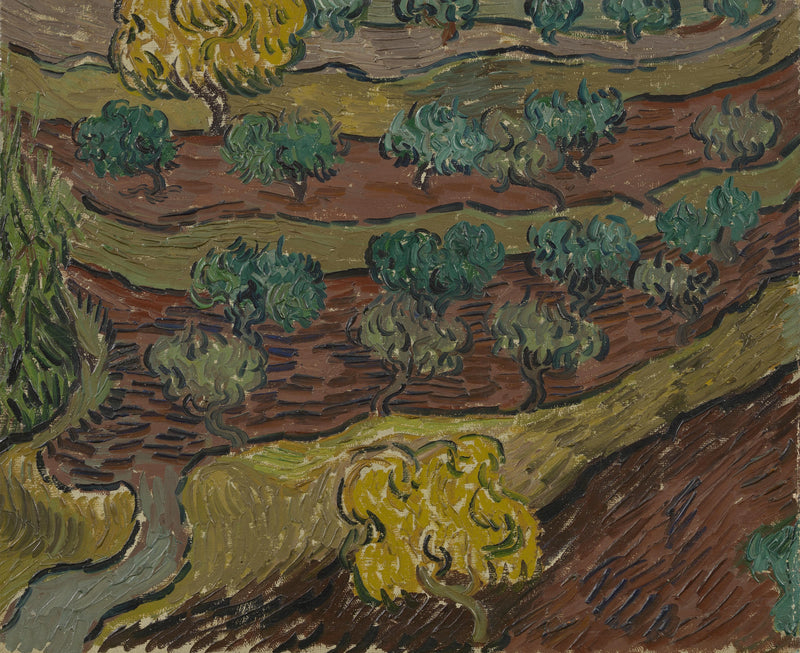 Bir tepe üzerindeki zeytin ağaçları - Vincent van Gogh