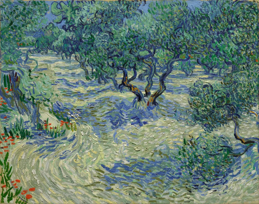 Zeytinlik - Vincent van Gogh