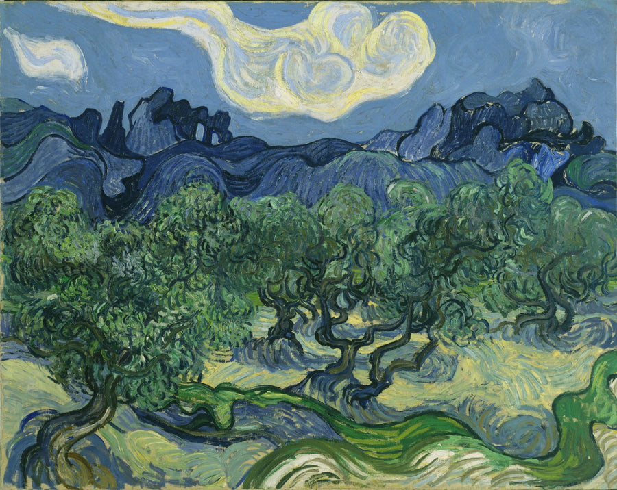 Zeytin Ağaçları - Vincent van Gogh