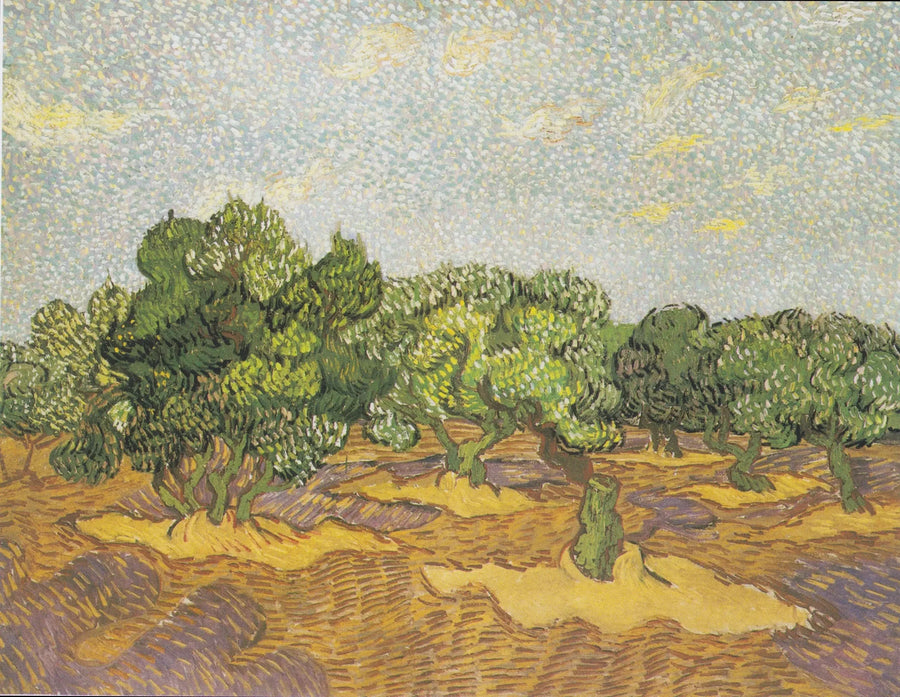 Zeytin Ağaçları - Vincent van Gogh