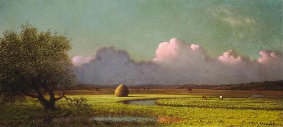 Gölge ve Işık: Newbury Bataklıkları - Martin Johnson Heade