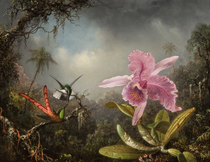 İki kolibriyle orkide - Martin Johnson Heade