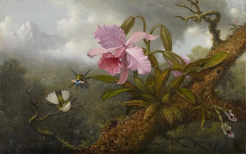 Orkide Cattleya, iki kolibri ve bir böcek - Martin Johnson Heade